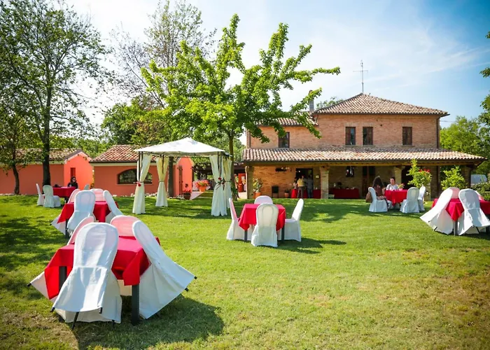 Mariotti Vite Maritata * Calcinelli